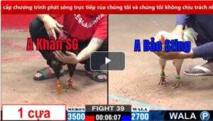 Trận 39 CPC2 12/03/2025 - Bảo Sting Chơi Ngông Và Cái Kết