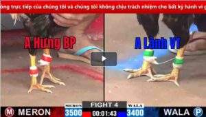 Trận 4 CPC2 16/02/2025 - Chuối Cọp Hạ Đẹp Điều Anh Lành Vũng Tàu