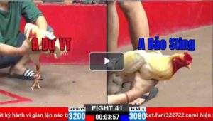 Trận 41 CPC2 30/03/2025 - Bảo Sting Và Anh Dự Vũng Tàu Kỳ Phùng Địch Thủ