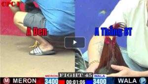 Trận 45 CPC1 01/03/2025 - Duyên Ti Có Trận Thắng Đầu Tiên Tại C1 Hôm Nay