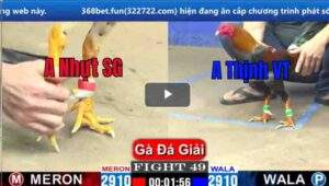 Trận 49 CPC1 07/03/2025 - Trận Chung Kết Qúa Kịch Tính Đến Phút Cuối Hôm Nay