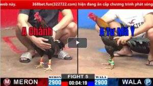 Trận 5 CPC2 14/02/2025 - Điều Cọp Tư Mã Ý Đá Canh Chặn Hạ Đối Thủ Đẹp Mắt