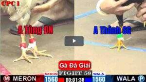 Trận 58 CPC1 24/03/2025 - Trận Đấu Quyết Định Mang Về Chức Vô Địch Của Anh Tùng Đồng Nai Hôm Nay