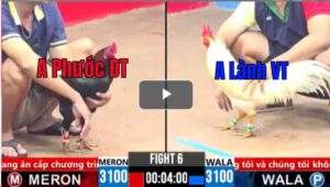 Trận 6 CPC2 09/03/2025 - Gà Cú Anh Phước Đồng Tháp Thắng Trận Đầu Tiên Nhẹ Nhàng