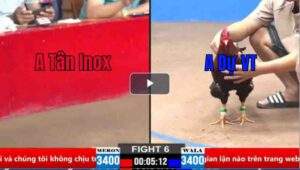 Trận 6 CPC2 26/03/2025 - Điều Xanh Mẻ Hiệu Anh Dự Vũng Tàu Đá Gê Như Thế Nào