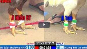 Trận 7 CPC1 25/03/2025 - Tèo Bảo Lộc Ra Quân Hạ Đẹp Anh Ton