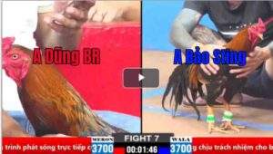 Trận 7 CPC2 21/03/2025 - Anh Dũng Bà Rịa Tiếp Tục Ôm Hận Khi Gặp Bảo Sting