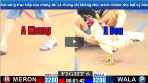 Trận 8 CPC1 15032025 - Cọp Tính Gà King Ra Sân Đá Bay Cánh Gà Duyên Ti