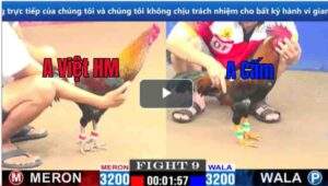 Trận 9 CPC1 11/03/2025 - Chú Cấm Ra Quân Gặp Ngay Hàng Nóng