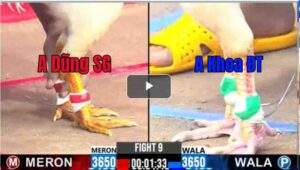 Trận 9 CPC3 04/02/2025 - Anh Khoa Hạ Anh Dũng Sài Gòn 3 Nốt Nhạc