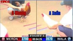 Trận 1 CPC1 19/04/2025