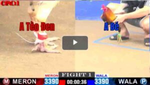 Trận 1 CPC1 26/04/2025