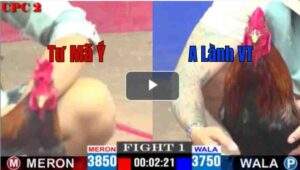 Trận 1 CPC2 23/04/2025