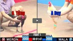 Trận 1 CPC3 08/04/2025 - Điều Cọp Ra Quân Mở Màn Cho Buổi Trình Diễn Siêu Hạn Hôm Nay