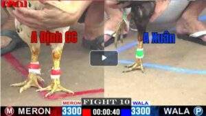 Trận 10 CPC1 15/04/2025 - A Định Củ Chị Xuất Sắc Hạ A Xuân Có Chiến Thắng Đầu Tiên