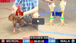 Trận 10 CPC1 19/04/2025