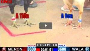 Trận 10 CPC1 29/04/2025