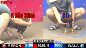 Trận 10 CPC2 11/04/2025 - A Bảo Sting Phản Kèo Ăn 1 Ngoạn Mục Hôm Nay Tại CPC2