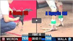 Trận 10 CPC3 15/04/2025 - A Giang ĐH Đấu A Nguyên CM Trong Trạn Xổ 500 Hôm Nay