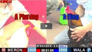 Trận 11 CPC1 08/04/2025 - Trận Xổ 200 Lớn Nhất Hôm Nay Tại CPC1