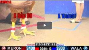 Trận 11 CPC1 19/04/2025