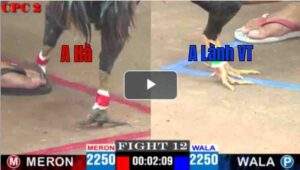 Trận 11 CPC2 23/04/2025