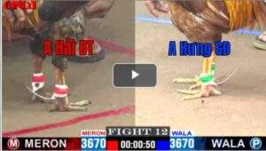 Trận 12 CPC1 17/04/2025