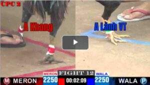 Trận 12 CPC2 23/04/2025