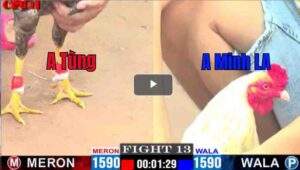 Trận 13 CPC1 07/04/2025 - Má Minh Hạ A Tùng Trọng Trận Đấu Phản Kèo Hấp Dẫn