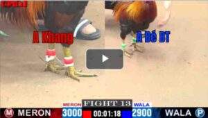 Trận 13 CPC1 24/04/2025