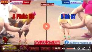 Trận 13 CPC3 22/04/2025