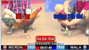 Trận 14 CPC1 10/04/2025 - Bổn Gà Bà Tư Ra Quân Gặp Quãng Yến Nhi Và Cái Kết