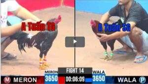 Trận 14 CPC3 15/04/2025 - A Tuấn TG Đồng Xổ 300 Với A Tuấn SG Căng Thẳng