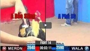 Trận 14 CPC3 22/04/2025