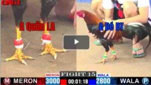 Trận 15 CPC1 26/04/2025