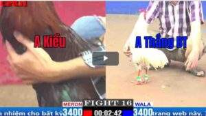 Trận 16 CPC1 05/04/2025 - Trận Gà Phản 5 Lai Của Má Minh Hôm Nay Tại CPC1