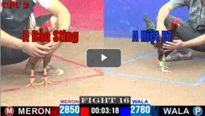 Trận 16 CPC2 27/04/2025