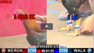 Trận 17 CPC1 15/04/2025 - A Định Củ Chi Qúa Hừng Tiếp Tục Chiến Thắng Tại CPC1