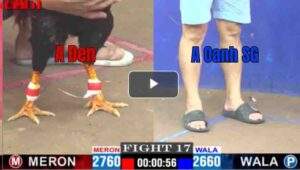 Trận 17 CPC1 17/04/2025