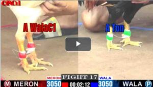 Trận 17 CPC1 19/04/2025