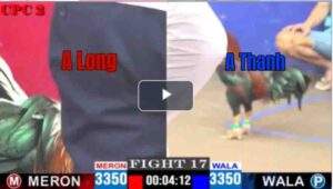 Trận 17 CPC2 13/04/2025 - A Long Gặp Cọp Và Cái Kết Bất Ngờ