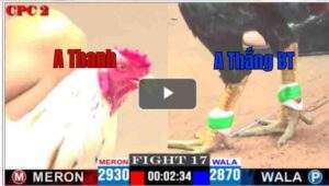 Trận 17 CPC2 16/04/2025