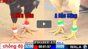 Trận 17 CPC2 18/04/2025