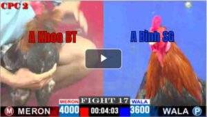 Trận 17 CPC2 23/04/2025