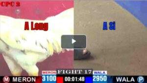 Trận 17 CPC2 25/04/2025