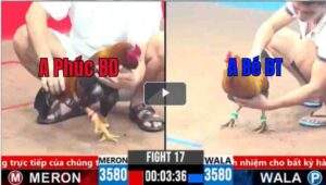 Trận 17 CPC3 01/04/2025 - Chú Phúc Bình Dương Đấu Anh Bé Bến Tre