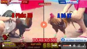 Trận 17 CPC3 22/04/2025