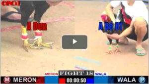 Trận 18 CPC1 26/04/2025