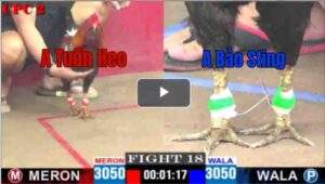 Trận 18 CPC2 18/04/2025