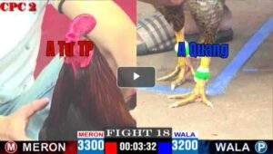 Trận 18 CPC2 20/04/2025